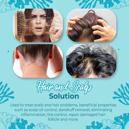 Hair Follicle Scalp Deep Clean Sea Salt Shampoo