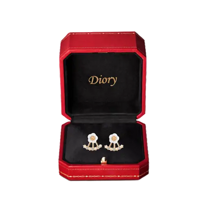 Diory EarAcupressure Magnetherapy Detoxi Earrings